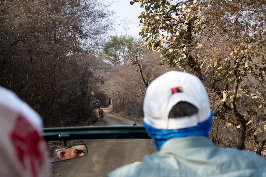 A safari guide looking down the forest road from a Gypsy