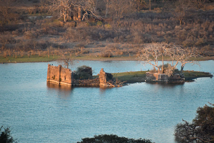 Old stone ruins standing in a Ranthambore lake