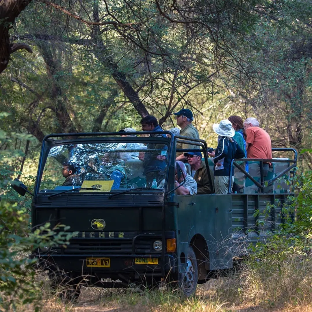 20-seat open Canter in Ranthambore