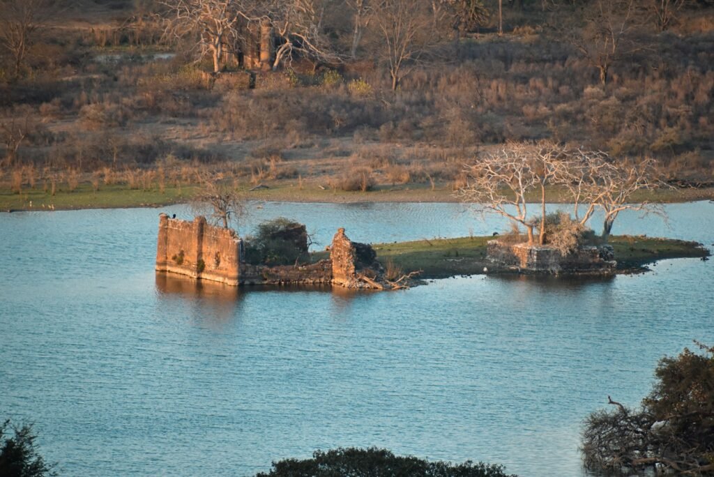 Old stone ruins standing in a lake in Ranthambore
