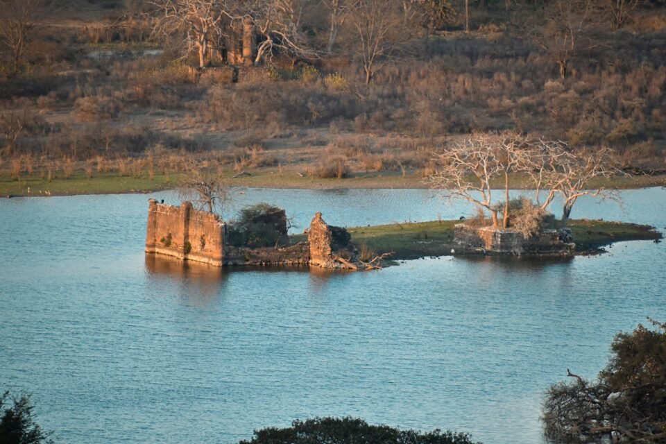 Old stone ruins standing in a lake in Ranthambore