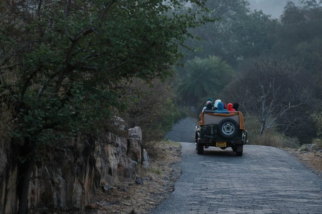A black jeep on a road through trees
