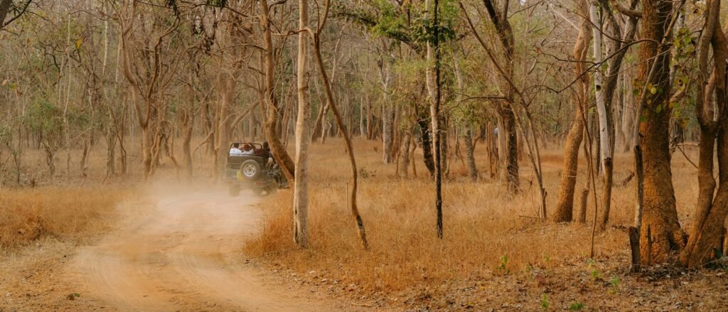 A safari jeep driving through a dusty dry forest