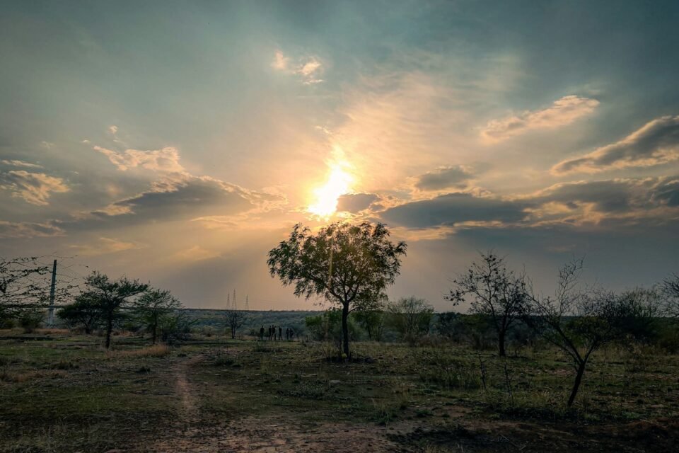 Sunrise over grassland, the light of a morning or evening safari