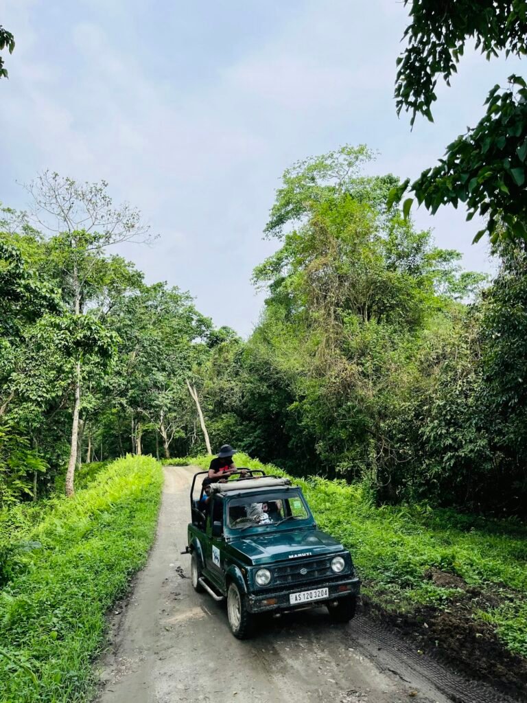 An open jeep driving along a forest track