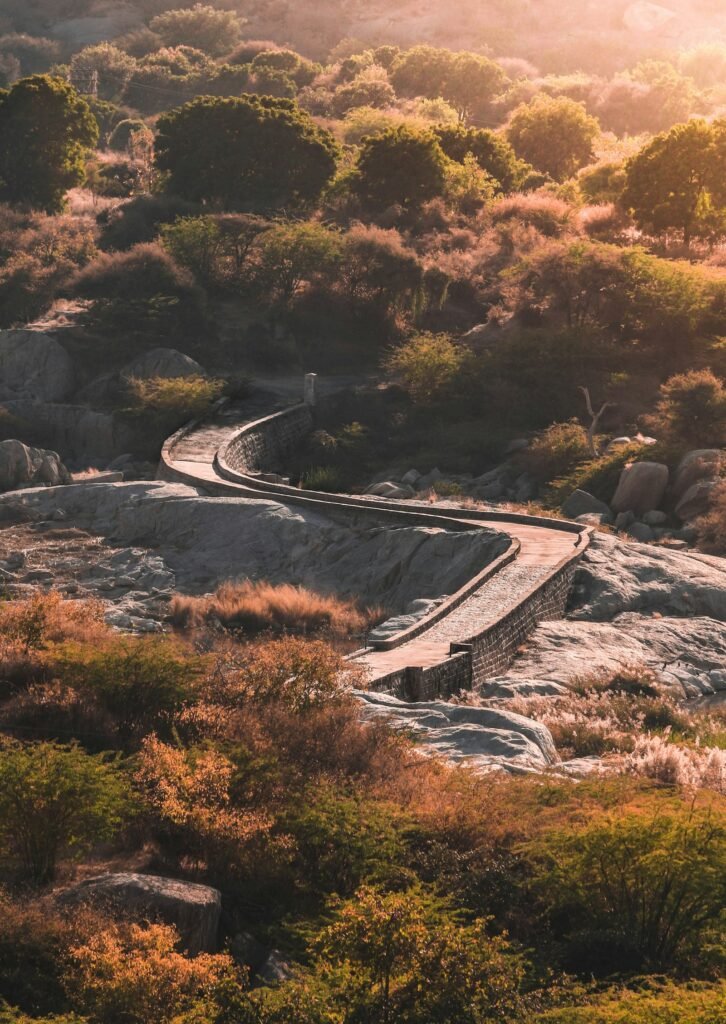 A road winding through rocky Rajasthan hills and scrub